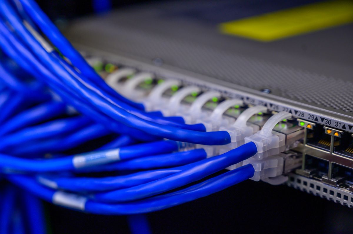Cận cảnh bó dây mạng màu xanh dương cắm vào switch trong trung tâm dữ liệu, đèn cổng sáng xanh lá